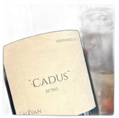 image du vin Cadus 2021 Bio Rhône Domaine Galévan
