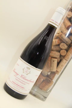 photo Gevrey Chambertin 