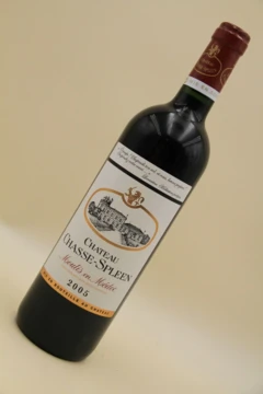 photo Chateau Chasse Spleen 2005 Moulis Médoc