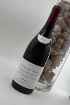 photo Gevrey Chambertin 