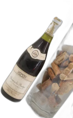 photo Savigny les Beaune 1990 Louis d’Armont