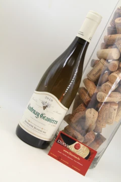photo Santenay Gravières 1 er Cru 2010 Domaine Jessiaume