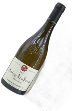 photo Savigny les Beaune Domaine Michel Noéllat 2019