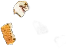 photo du vin Rooibos Citrus Vrac Sachet de 100gr Dammann