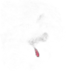 illustration du vin Thé Noir Noël à Paris Vrac Sachet de 100gr Dammann