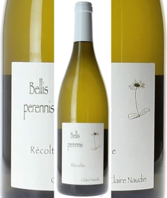 photo Hautes Côtes de Beaune Bellis Perennis Blanc 2022 Claire Naudin