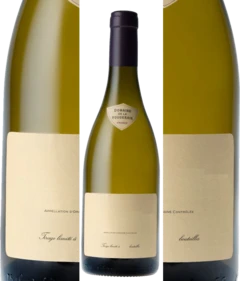 photo Chassagne Montrachet 1er Cru Morgeot 2022 Domaine de la Vougeraie