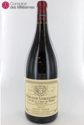 photo Pernand Vergelesses Rouge 1er Cru Clos de la Croix de Pierre 2022 Magnum Louis Jadot