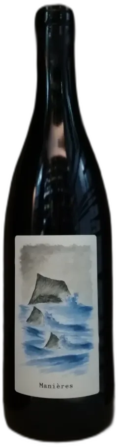 vue du vin Elementaires Vin de France Manière Gamay