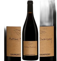 photo Saumur Champigny les Echalas 2022 Antoine Sanzay Mag