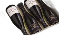 photos du vin les Historiques