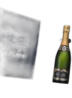 image du vin 2 Flûtes