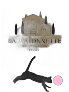 image du vin Bag in Box