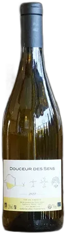 photo Sauvignon Blanc & Gris 2023 Olivier Seguin