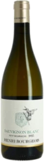 photo Sauvignon Blanc Petit Bourgeois Vin de Loire
