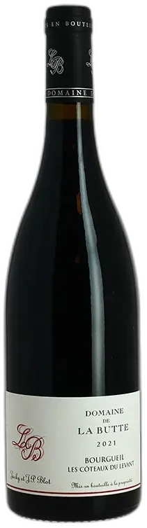 photo du vin Bourgueil Côteaux du Levant Domaine de la Butte 2021