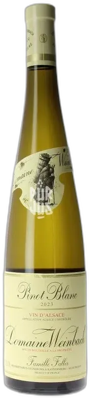 photo Pinot Blanc 2023 Catherine Faller