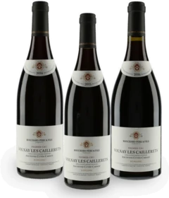 photo Verticale Volnay en Caillerets 2014 2015 2016 Bouchard Père Fils