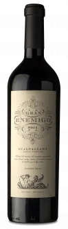 vue du vin Gran Enemigo Gualtallary 2020 el Enemigo