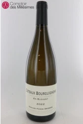 photo Coteaux Bourguignons 2022 en Buzigny Pierre Boisson