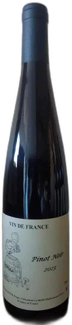 photo Pinot Noir 2023