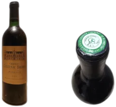 photo Château Cantenac Brown 1989