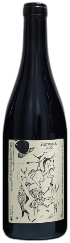 photo du vin Morgane Turlier Trousseau en Vignole 2022