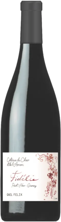 image du vin Domaine Gaël Félix Coteaux-du-Cher-et-de-l’Arnon Fidélie 2023