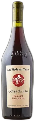 vue du vin Poulsard en Boutasse