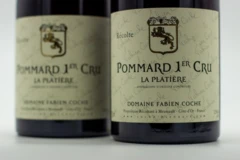 photo Fabien Coche Pommard 1er Cru la Platière 2022