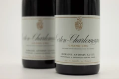 photo Antonin Guyon Corton-Charlemagne Grand Cru 2021