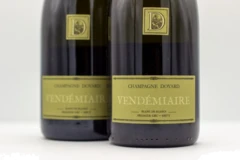 photo Champagne Doyard 1er Cru Brut Blanc de Blancs Vendémiaire