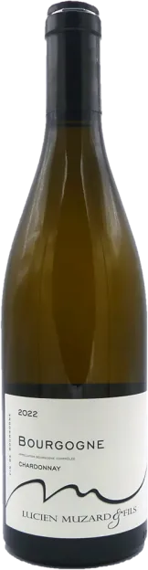 photo du vin Bourgogne Chardonnay 2022