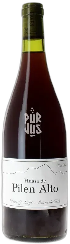 photo Huasa de Pilen Alto 2022 Louis Antoine Luyt