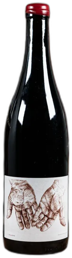 illustration du vin Resilience 2022 Domaine de l’Alezan