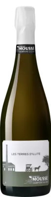 photo Champagne Terre d’Illite 2020 Extra-Brut Blanc de Noirs Champagne Moussé Fils