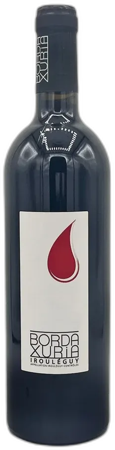 vue du vin Domaine Bordaxuria Irouléguy Kixka 2019
