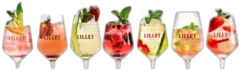 photo du vin Lillet Rosé Apéritif à Base de Vin