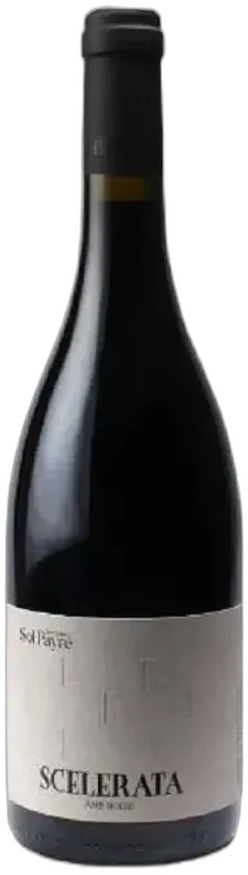 photo Domaine Sol Payre Cotes du Roussillon Villages les Aspres Scelerata 2021