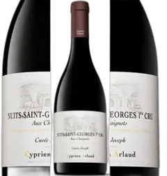 photo Nuits Saint Georges Aux Chaignots 1er Cru 2022 Cyprien Arlaud