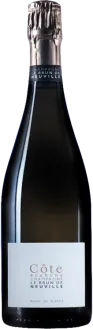 photo Magnum Champagne le Brun de Neuville Côte Blanche Blanc de Blancs