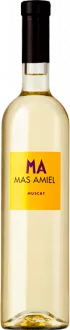 photo Muscat Doux 2023 Mas Amiel