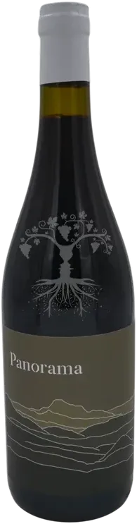 photo du vin Panorama Rouge