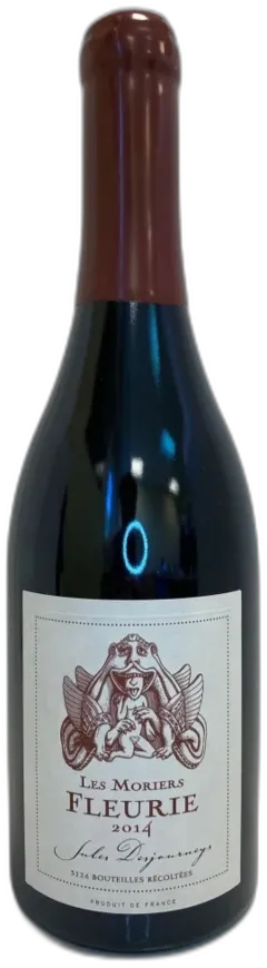 vue du vin Domaine Jules Desjourneys les Moriers Fleurie Beaujolais France