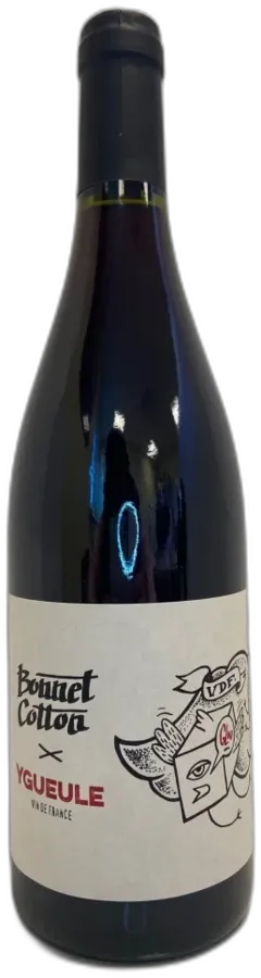photos du vin Domaine Bonnet Cotton Vin de France Ygueule Beaujolais France