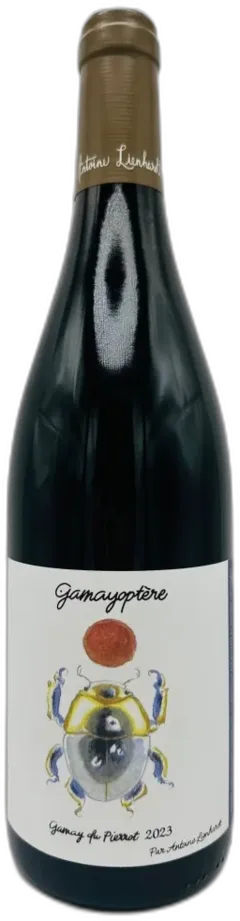 photo Domaine Antoine Lienhardt Gamayoptere Coteaux Bourguignons 2023 Bourgogne France
