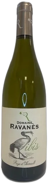 vue du vin Ravanès l’Ille
