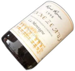 photos du vin Domaine Rene Renou Montagne Pays de Loire France