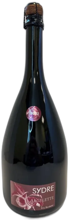 vue du vin Domaine Eric Bordelet Sydre Argelette 2022 Pays de Loire France