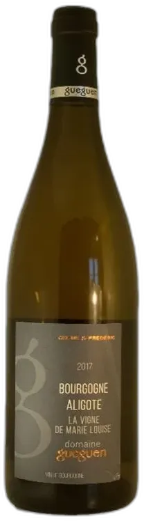 photo la Vigne de Marie Louise Domaine Guéguen, Céline et Frédéric